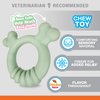 Nylabone Sensory Material Puppy Chew Toy Ring - Puppy Teething Toy for Boredom & Stimulation - Puppy Supplies - Chicken Flavor, Small/Regular (1 Count)