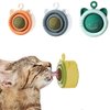 Catnip for Cats Catnip Toys for Cats Catnip Balls Catnip Toys for Indoor Cats Catnip Balls that Stick on Wall Catnip Toy (blue)