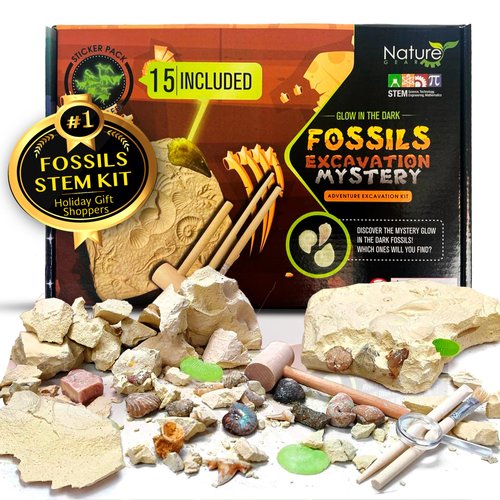 Nature Gear Dino Fossil Dig Kit for Kids, Educational Excavation Kit with 15 Glow in The Dark Mystery Fossils, Interactive Dinosaur Science Kits for Kids Age 3-5 and Up, Excavation Adventure Kit