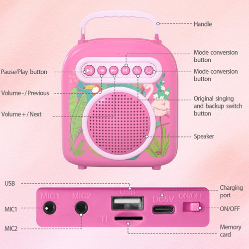 Dollox Kids Karaoke Machine with 2 Microphones, Portable Karaoke Speaker for Toddler, Mini Musical Toy Kid Singing Toys Christmas Birthday Gifts Family Home Party for 3 4 5 6 Year Old Girls Boys