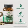 Organic India Tulsi Holy Basil Capsules - Holy Basil Extract - Holy Basil Leaf Supplement, Herbal Supplement, Immune Support, Stress Relief, Vegan, Gluten-Free, Kosher, Organic, Non-GMO - 180 Capsules