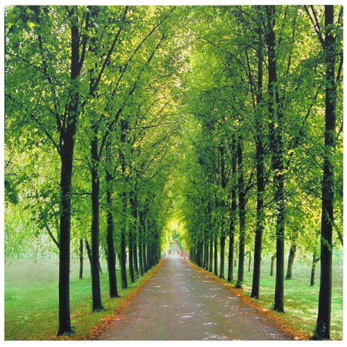 Oriental Furniture Path of Life Canvas Wall Art