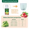 Hydroponic Nutrients (1000ml in Total) A & B Plant Food for Plant Growth, Indoor Plant Fertilizer for Hydroponics Growing System, Hydroponics Supplies Plant Food for Vegetables, Fruits, Flowers Thrive