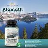 Premium Klamath Lake Blue Green Algae - More Powerful Than Spirulina and Chlorella Supplements | Pure Chlorophyll Rich SuperFood, Sourced from Organic Klamath Lake, 500mg, 60 Vegan Capsules