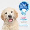 Nylabone Advanced Oral Care Puppy Dental Kit with Pillowy Soft-Bristle Toothbrush Peanut Butter (3 Count)