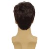 Tseses Curly Brown Wigs for Men Short Natural Layered Hair with Bangs Fluffy Men Costume Synthetic Wigs