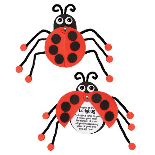 Fun Express Legend of The Ladybug Craft Kit - Makes 12
