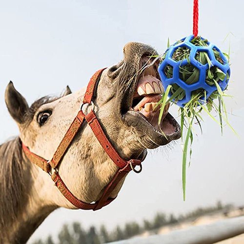 gofidin 2pcs Equine Horse and Pony Treat Ball Goat Hay Hanging Feeding Toy Sheep Feeder Feeding Dispenser Multipurpose Horse Cattle