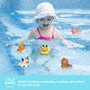 12PCS Rubber Ducks,Toddler Bath Toys,No Hole Bathtub Toys,Baby Pool Toys for 18 Months and Older