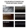 3 in 1 Semi-Permanent Black Hair Dye - 13.5 FL Oz, 100% Grey Coverage, Hair Color Shampoo