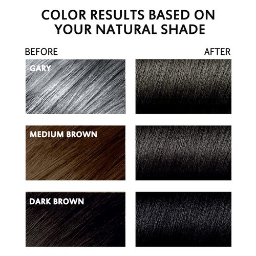 3 in 1 Semi-Permanent Black Hair Dye - 13.5 FL Oz, 100% Grey Coverage, Hair Color Shampoo