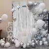 Acuteye Silver Foil Fringe Curtain 3.3×8.3FT 2 Packs, Metallic Tinsel Curtains Party Streamers for Birthday Graduation Baby Shower Decoration (2pcs,3.3FT×8.3FT, Silver)