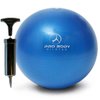 ProBody Pilates Ball Small Exercise Ball w/Pump, 9 Inch Barre Ball, Mini Soft Yoga Ball, Workout Ball for Stability, Barre, Ab, Core, and Physical Therapy Ball at Home Gym & Office (Blue)