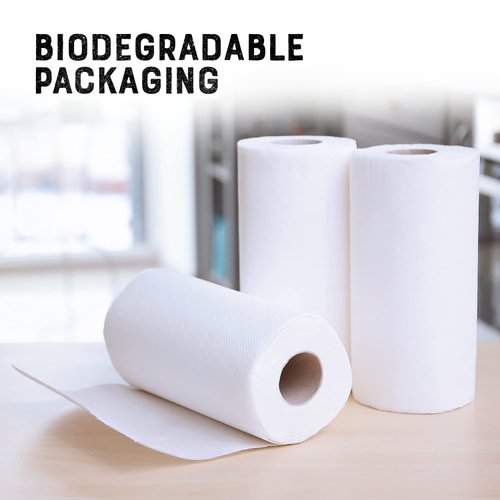 Nature's Greatest Foods Paper Towels | 2 Rolls, 2-Ply