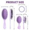 Daily Gard 2 Pack Detangler Hair Brush and Mini Hair Brush, Dry and Wet Hair Brush for Women Men Girls, Detangling Hairbrush for Wet/Dry/Curly/Thick/Long/Wavy/Damaged Hair, Purple