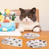 Cat Birthday Party Supplies,20 Kitten Paper Plates and 20 Napkins, Decorations Ideal for Tableware Supplies