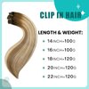 SURNEL Clip in Hair Extensions Walnut Brown to Ash Brown and Golden Blonde 14 Inch 6pcs 100g Clip in Real Human Hair Extensions Clip Ins Balayage Clip in Hair Extensions(#3/8/22,14'')