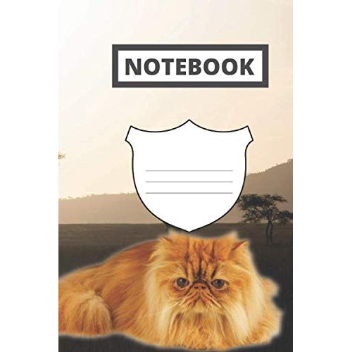 Notebook: Persian gold composition notebook | 6 x 9 | 120 pages