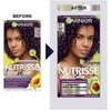 Garnier Nourishing Hair Color Creme, P1 Deepest Intense Purple, 2 Pack