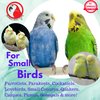 810 Small Bowtie Ring Bird Toy Parrot Toys cage Cages Cockatiel Budgie Lovebird Swing.