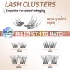 SIMER Lash Clusters DIY Eyelash Extensions 80 Clusters Lashes 3D Layered Wispy Natural Look Eyelash Clusters D Curl Reusable Fluffy Individual Lashes DIY at Home(10-16mm Mixed)