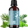 Breathe Blend Essential Oil for Diffuser - Invigorating Breathe Essential Oil Blend with Eucalyptus Peppermint Tea Tree and Mint Essential Oils for Diffusers for Home and Shower Aromatherapy