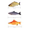 KTCLCATF Catnip Toys Set Simulation Fish Shape Doll Interactive Pets Pillow Chew Bite Supplies for Cat/Kitty/Kitten Fish Flop Cat Toy Catnip Crinkle Toys 3PCS (CAOY-3PCS)