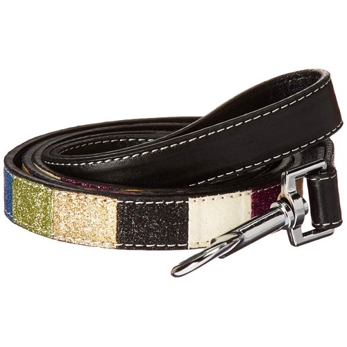 Mirage Pet Products Ice Cream Collars Blue Hearts with 3/4-Inch Leash for Dogs