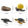 WONWONTOYS 4PCS Animals Figurines Life Growth Cycle of Sea Tortoise Plastic Food Chain Animal Figures Toy Kit Educational School Project for Kids