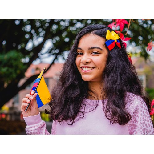 Colombia Flag Hair Bow Girls Women Hair Accessories Cultural Multicultural School Events