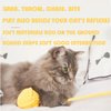 Arrebol Cat Chew Toys for Indoor Cats,Teeth Cleaning, Dental Health, Improve Digestion, Interactive Cat Teething Toy Cat Dental Toys(3Pcs) 2PCS Colorful Yarn Cat Balls Built-in Bell