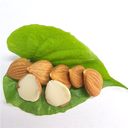 Natural Raw Bitter Apricot Kernels 16oz, Organic USDA Certified Bitter Apricot Seeds 1LB