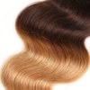 𝗜𝗻𝘀𝗤𝘂𝗲𝗲𝗻 Ombre Human Hair Bundles with Closure 100% Unprocessed Virgin Brazilian Human Hair Body Wave 4 Bundles with 4x4 Lace Closure Free Part (10 10 10 10+10#T1B/4/27)