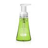 Method Naturally Derived Foaming Hand Wash, Green Tea + Aloe, 10 Ounce