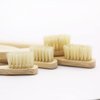 Gaia Guy Natural Bristle Bamboo Toothbrush Family Pack (NO Nylon - Boar Hair ONLY) - Totally Compostable & Biodegradable Boar Bristle and Bamboo Toothbrushes - Zero Waste - 4 Kids and 4 Adults