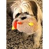 Glory To Dog Roly-Poly Chicken Plush Dog Toy with Krinkle and Squeaker