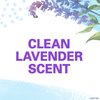 Secret Invisible Solid Antiperspirant and Deodorant for Women, Clean Lavender Scent, 2.6 oz