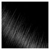 Kiss Express Semi-Permanent Hair Color, 3.5 Fl Oz (Pack of 2)