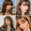 VASILIA Bangs Hair Clip, Clip in Bangs Hair Toppers for Women 100% Real Human Hair, Clip on Bangs 360° 3D Cover Wispy Fake Clip in Hair Extensions for Women Daily (Dark Brown)