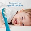 RADIUS Totz Toothbrush Extra Soft Brush BPA Free & ADA Accepted Designed for Delicate Teeth & Gums for Children 18 Months & Up - Green Blue Sparkle - Pack of 3