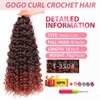 GoGo Curl Crochet Hair 18Inch 6Packs Curl Crotchet Braiding Hair Water Wave Synthetic Braiding Hair Extensions (18 Inch (Pack of 6), 1B/350#)
