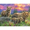 RoseArt - Abraham Hunter - Growin' Up - 500 Piece Puzzle for Adults