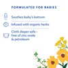 Motherlove Diaper Balm (1 oz) Organic Herbal Diaper Rash Cream—Cloth Diaper Safe, Zinc Oxide- & Petroleum-Free—Ideal Diaper Bag Size