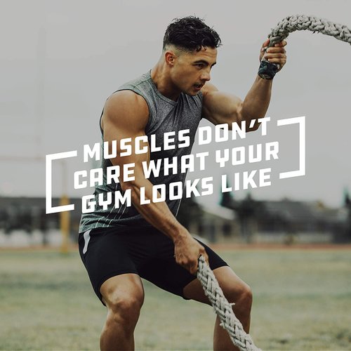 CLIF BUILDERS - Protein Bars - Chocolate Mint - 20g Protein - Gluten Free (2.4 Ounce, 12 Count)