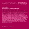 Andalou Naturals Lip Mask 1000 ROSES, Overnight Lip Sleeping Mask for Dry, Chapped Lips, Plumping, Hydrating & Soothing Lip Balm with Alpine Rose Stem Cells, Vegan & Cruelty-Free, 0.42 Oz
