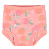 Gerber Baby Girls Infant Toddler 4 Pack Potty Training Pants Underwear Peach and Yellow 2T