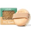 Bare Botanics Exfoliating Dry Brushing Body Brush for Lymphatic Drainage | Palm Sized, Universal Fit, & an Elastic Strap | Medium Firmness Dry Brush for Body
