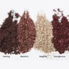 nude envie Vibrant Rose Gold Eye Shadow Certified Vegan Cruelty-Free – Highly Pigmented Silky-Smooth Long-Lasting Eyeshadows (bewitch)