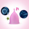 ROSA RUGOSA Menstrual Cup Steamer, Portable Menstrual Cup Wash Kit, Comes with Two Reusable Period Cup, High Temperature, Great Partner for Women Travel