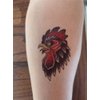 SanerLian Cock Chicken Temporary Tattoo Sticker Red Waterproof Teens Girls Boys Kids Party Favor Makeup Set of 5 (SF4513)